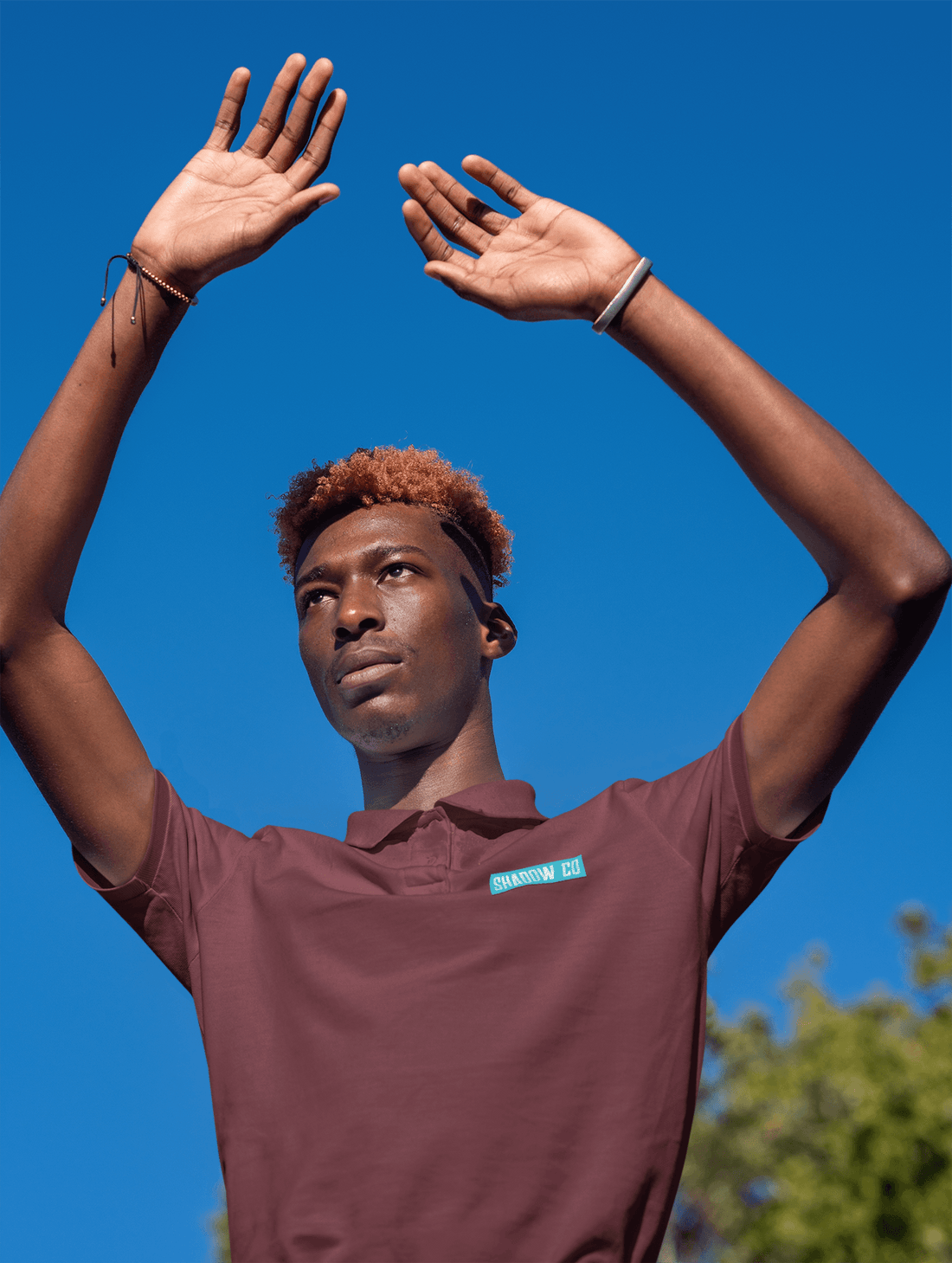 Shadow Co Men's Polo T-shirt - Lyssian